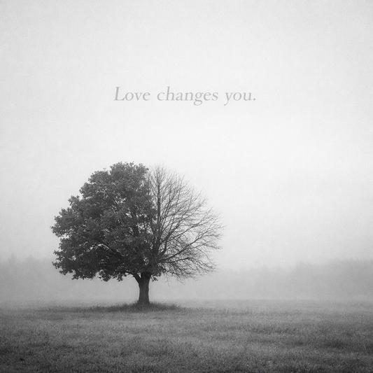 Single tree in a calm, open landscape, symbolizing emotional growth, change, and the evolution of love over time