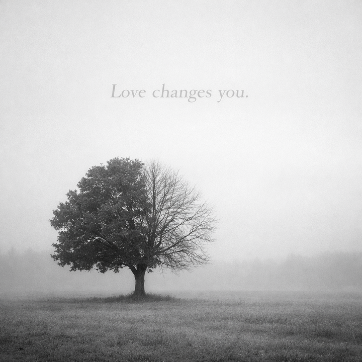 Single tree in a calm, open landscape, symbolizing emotional growth, change, and the evolution of love over time
